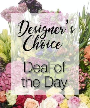 Deal of the Day